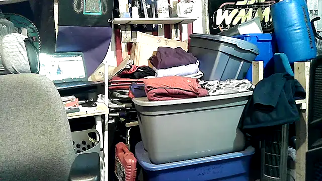 Oldmanphlwiss webcam