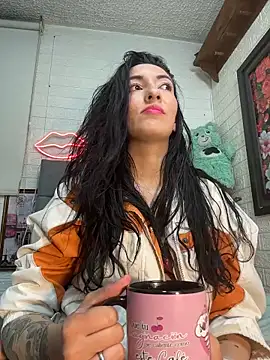 SALOME_KORLAND webcam