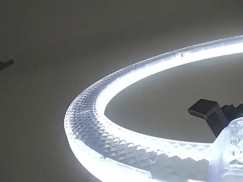 Ailanys_Miller webcam