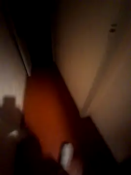 Valen_tinx19cm webcam