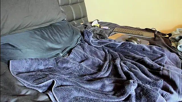 toolmaster2000 webcam