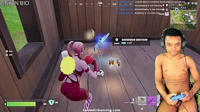 lovemirgaming webcam