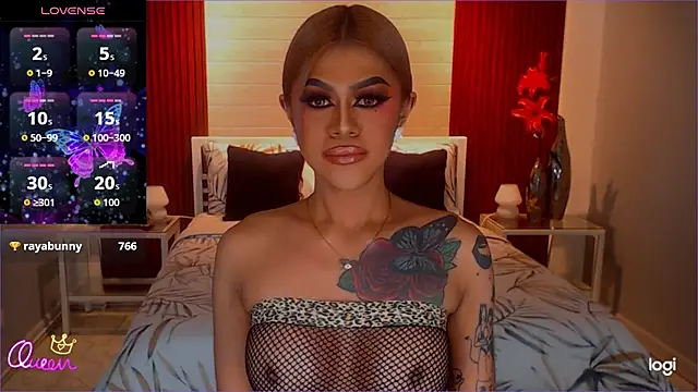 StellaStrong30 webcam