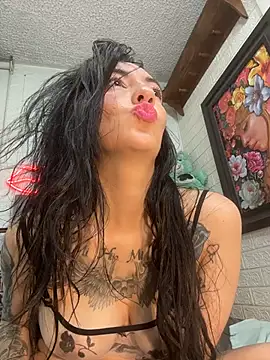 SALOME_KORLAND webcam