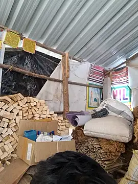 hot_integer (M young) - buy a car