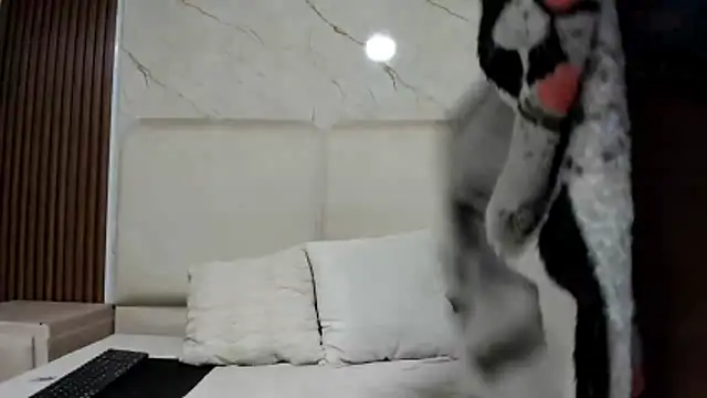 PalomaAguilarx69 webcam