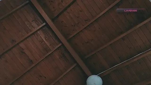 SilvaBranko's live cam