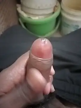 HeatableRevan webcam