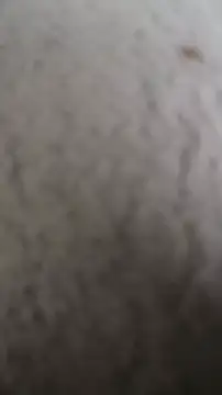 Bigdick420anal webcam