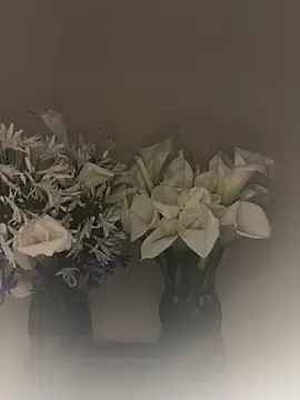 slnatasha - SLNatasha's free webcam