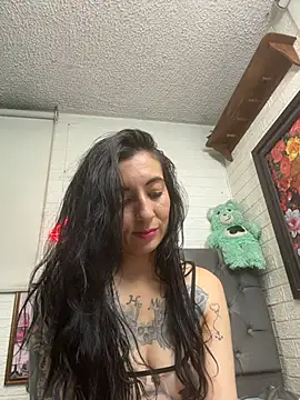 SALOME_KORLAND webcam