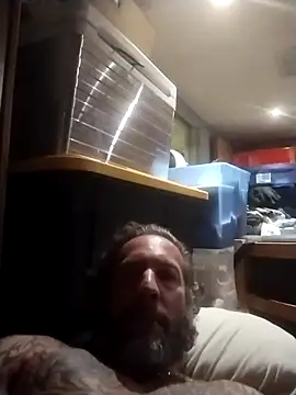 AceticPinscher webcam