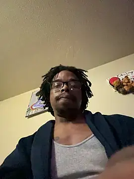 SmurffyBleu16s304s webcam