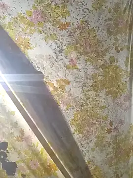 cogelonregio - Cogelonregio's free webcam - UK Sex Cams