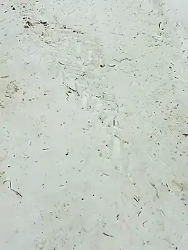 _uncle_Mitya-43_ webcam