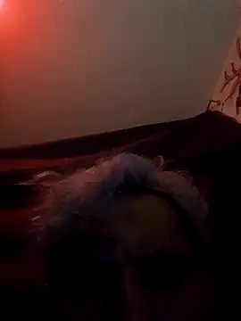 destroassbig2 webcam