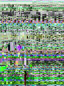 SkarletJhonson_ webcam