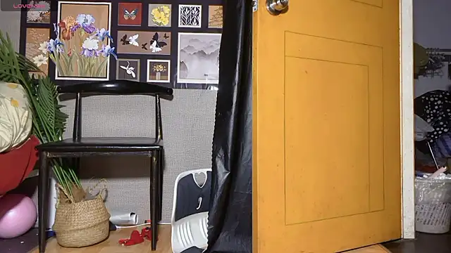 美女xiaosu22在线直播