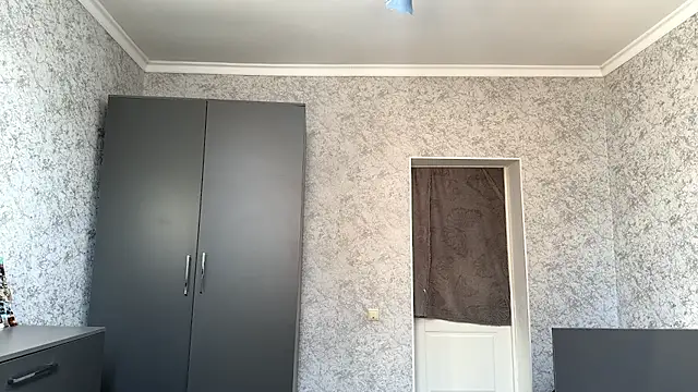 RegenaLandauer webcam