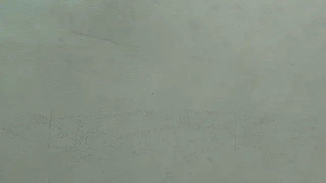 Erick_Zhimerman webcam