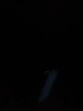 ShortcakeMochaa webcam