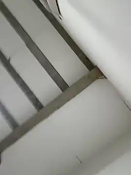 straightdude99 webcam