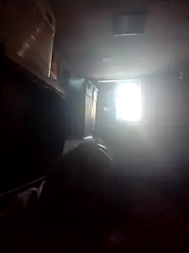 AceticPinscher webcam