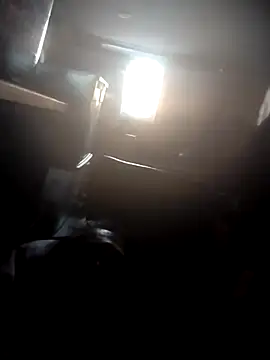 AceticPinscher webcam