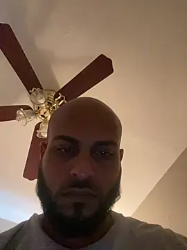 islandvybee55 webcam