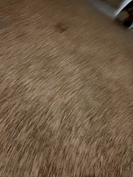 JoshingExegesis webcam