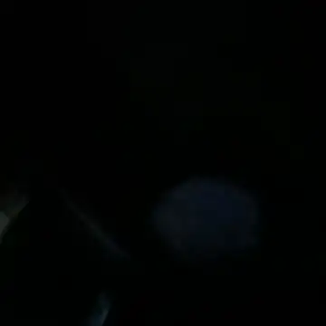 senguptadiya248 webcam