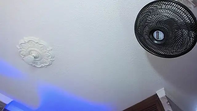 lily_phillips_ webcam