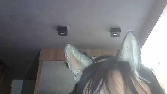 SkinnyKitten webcam