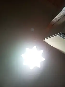 Lauren_Amabel webcam