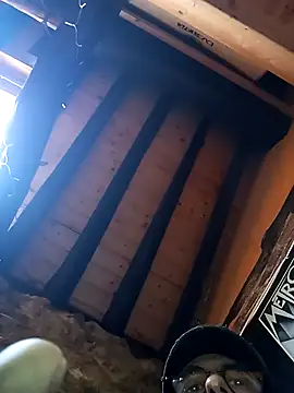 Preview of oridama123