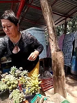 Brenda_Berck_ webcam