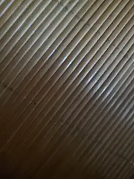 hotgrilsex (F young) - 1000