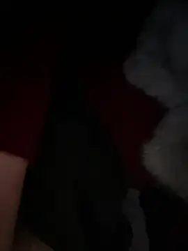 美女littleqiu在线直播