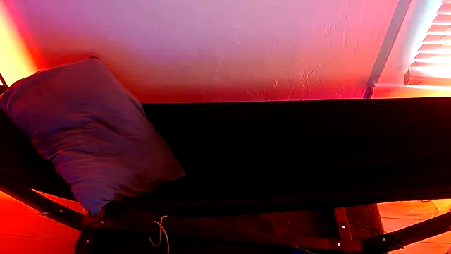 AceSpinning_DJ webcam