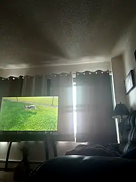 ReallyReallyReal webcam