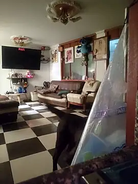 SeductionSilera webcam