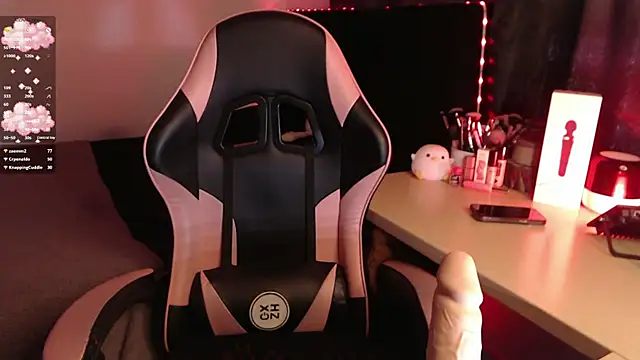 Theprojectsaraa webcam