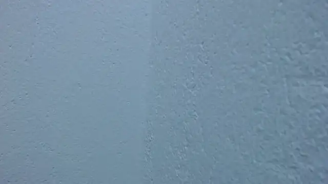 carolina_zabala_19 webcam