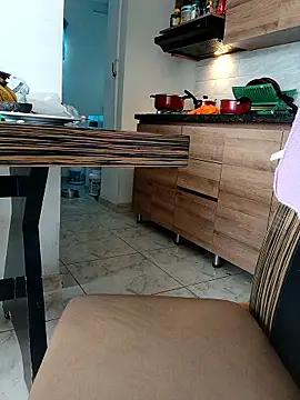 LEIRIS_Y_FRED_01 webcam