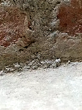 Rajni_chauhan webcam