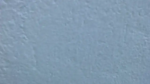 carolina_zabala_19 webcam