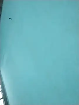 Preview of jelsbslz23