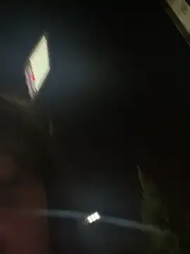 cherryrosealiee webcam