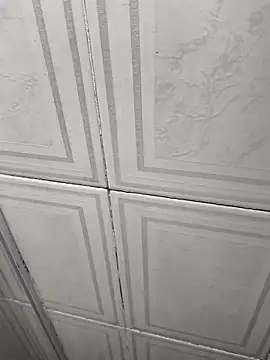 Napolitano22cm webcam