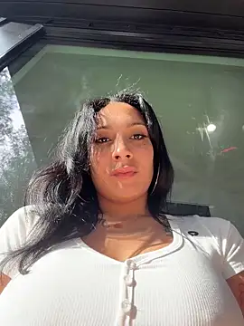 FerrariFrench webcam